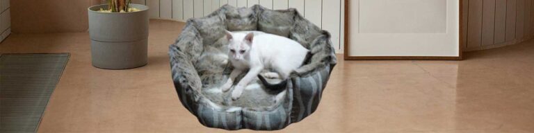 pet beds