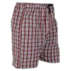 Checked Cotton Short