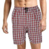 Checked Cotton Short