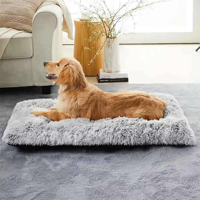 pet beds