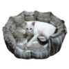 bolster pet bed