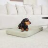 flat cushion pet bed