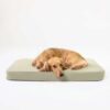 flat cushion pet bed