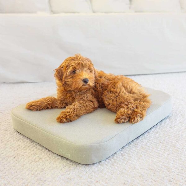 flat cushion pet bed