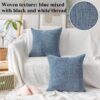 Blue Throw Pillow